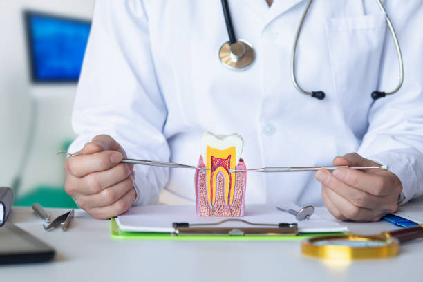 Best Orthodontic Emergency Dentist in Mccook, NE